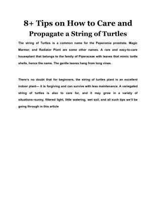 8  Tips on How to Care and Propagate a String of Turtles
