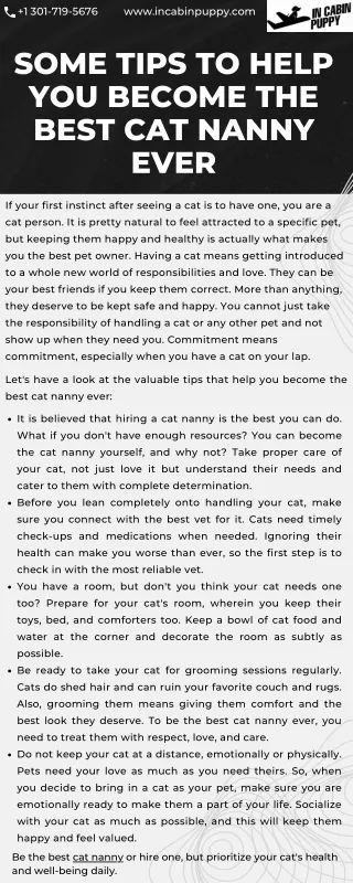 Some Tips to Help You Become the Best Cat Nanny Ever
