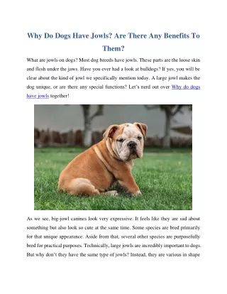 Why Do Dogs Have Jowls? Are There Any Benefits To Them?