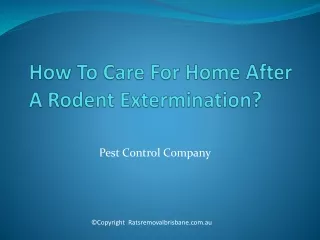 How To Care For Home After A Rodent Extermination?