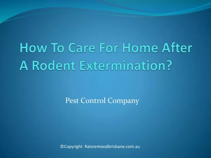 how to care for home after a rodent extermination