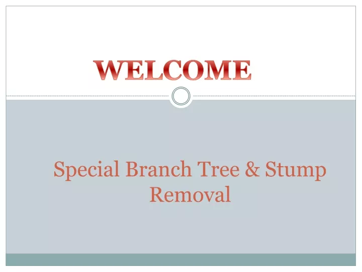 special branch tree stump removal