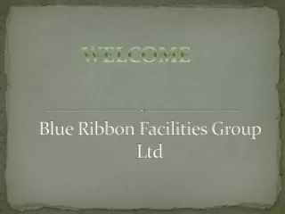 blue ribbon facilities group ltd