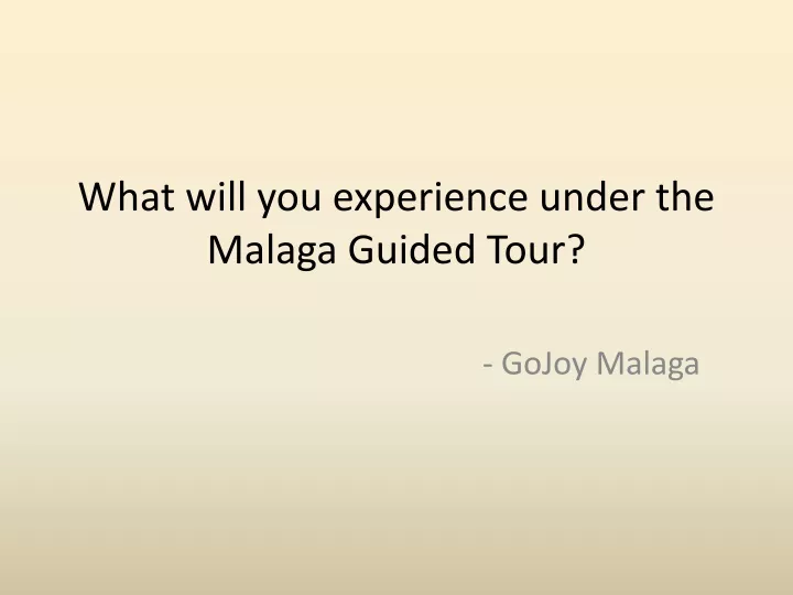what will you experience under the malaga guided tour