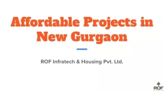 affordable projects in new gurgaon