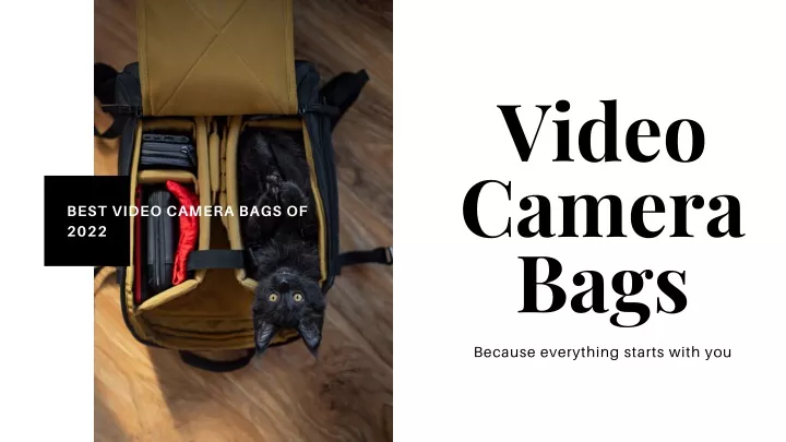 video camera bags