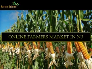 Online Farmers Market In NJ