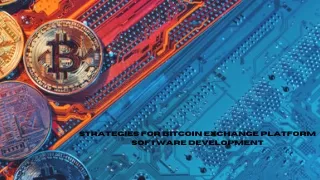 strategies for bitcoin exchange platform software