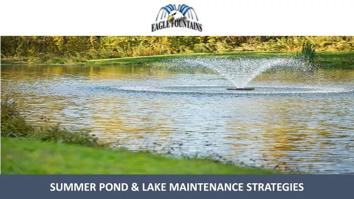 summer pond lake maintenance strategies