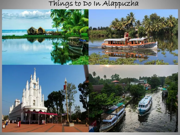things to do in alappuzha