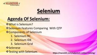 Selenim Online Training Nareshit