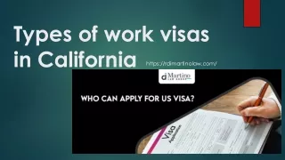 Types of work visas in California
