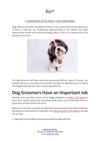5 SURPRISING FACTS ABOUT DOG GROOMING
