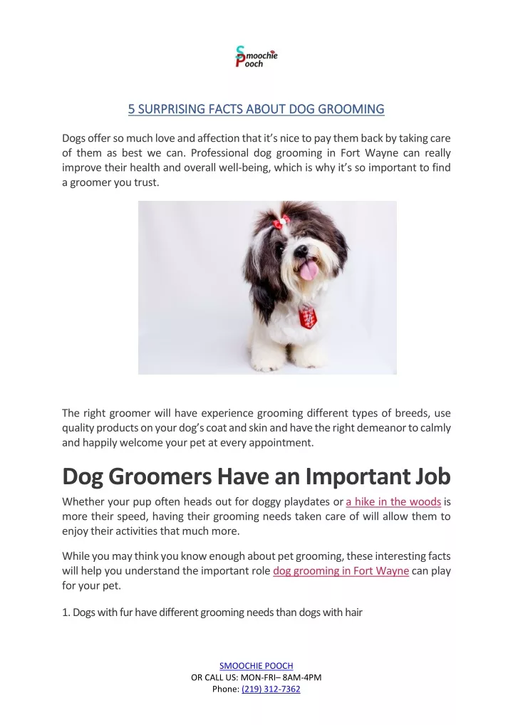 5 surprising facts about dog grooming