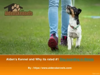 Alden's Kennel and Why its rated #1 Dog boarding in Illinois