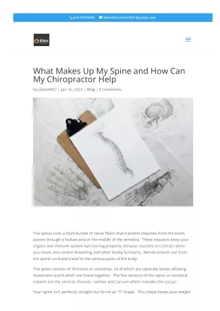 What Makes Up My Spine and How Can My Chiropractor Help