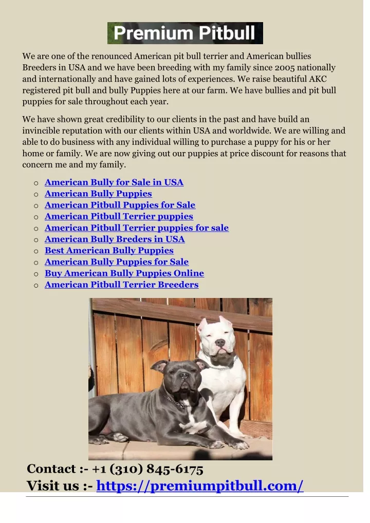 we are one of the renounced american pit bull