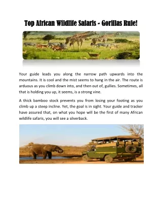 Top African Wildlife Safaris