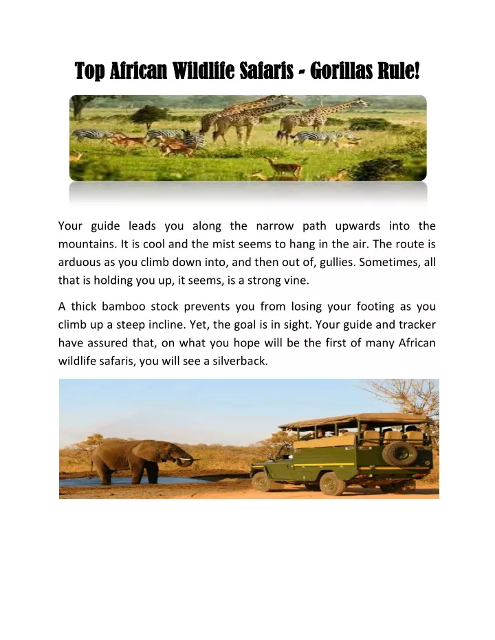 top top african wildlife safaris african wildlife