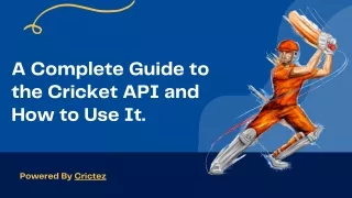 A Complete Guide to the Cricket API and How to Use It