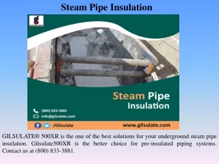 Steam Pipe Insulation