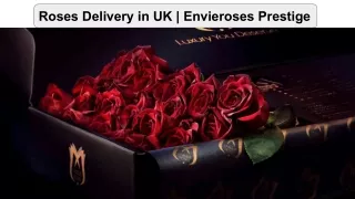Roses Delivery in UK | Envieroses Prestige