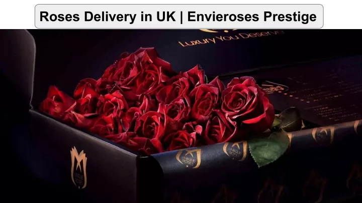 roses delivery in uk envieroses prestige