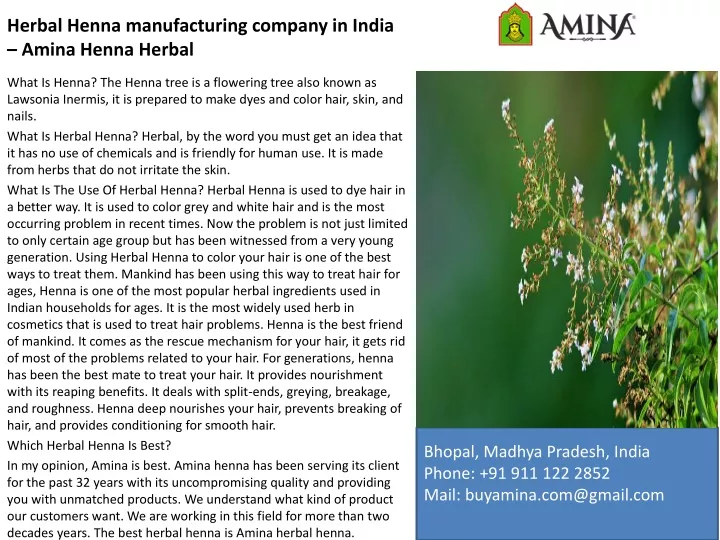 herbal henna manufacturing company in india amina henna herbal