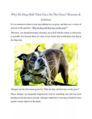 Why Do Dogs Rub Their Face On The Grass? Reasons & Solution
