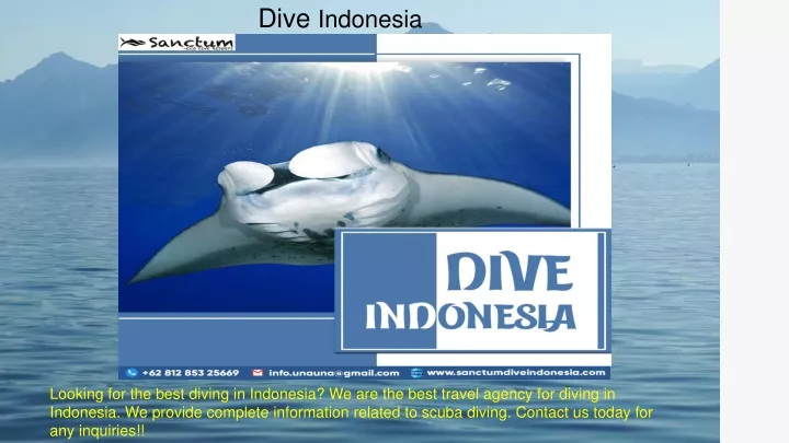 dive indonesia