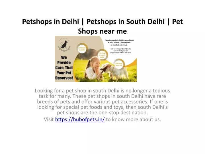 petshops in delhi petshops in south delhi pet shops near me