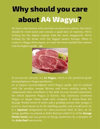 Why should you care about A4 Wagyu (1)