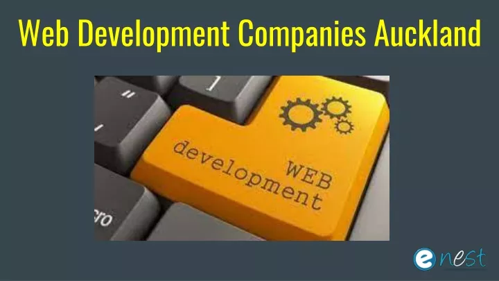 web development companies auckland