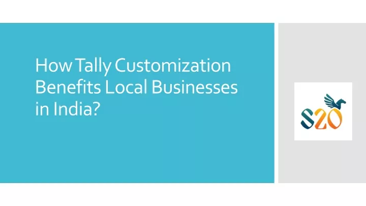 how tally customization benefits local businesses in india