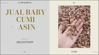 SIAP KIRIM! WA 0812-2107-9039, Harga Baby Cumi Asin Per Kg