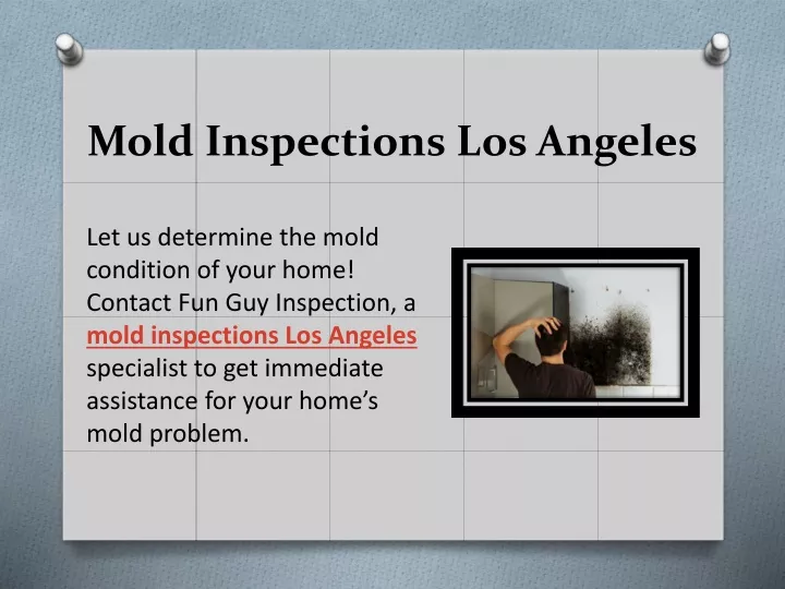 mold inspections los angeles