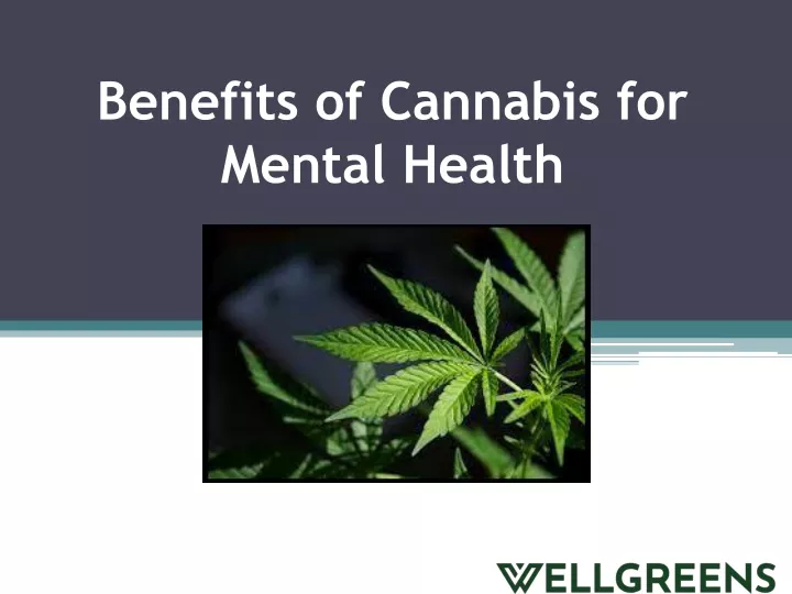 benefits of cannabis for mental health