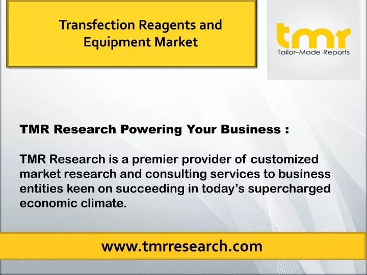 transfection reagents and equipment market
