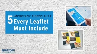 5 Important Things That Every Leaflet Must Include