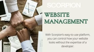 Website Management
