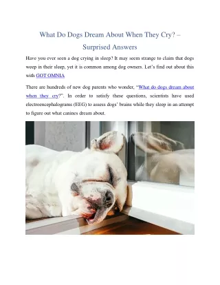 What Do Dogs Dream About When They Cry? – Surprised Answers