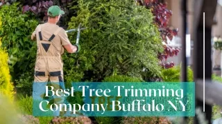 Best Tree Trimming Company Buffalo NY