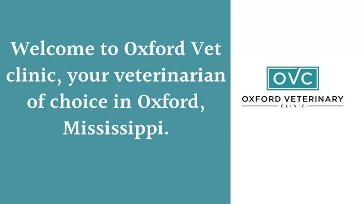 welcome to oxford vet clinic your veterinarian