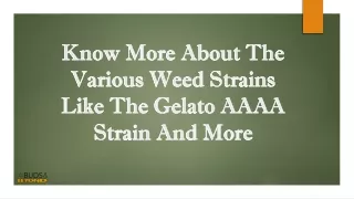 Know More About The Various Weed Strains Like The Gelato AAAA Strain And More