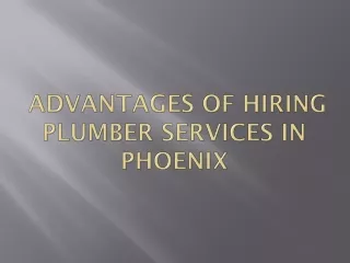 Advantages Of Hiring Plumber Services In Phoenix