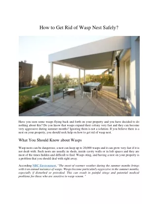 how to get rid of wasp nest safely