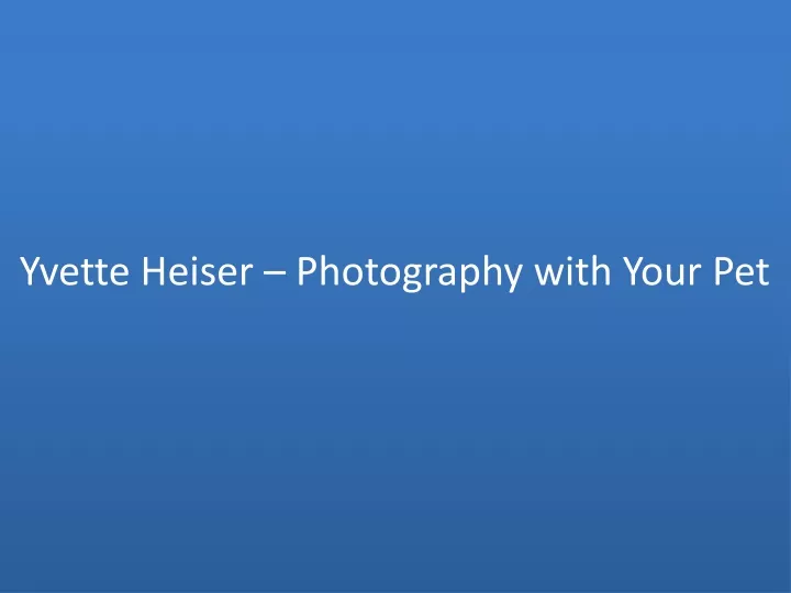 yvette heiser photography with your pet