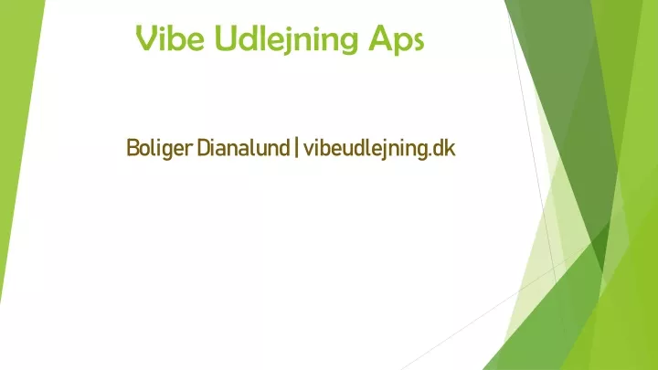 vibe udlejning aps