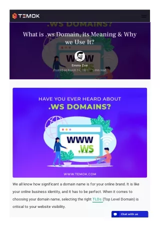 what is ws domain its meaning why we use it