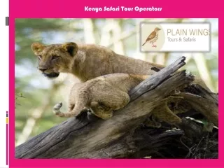 Top Kenya Safari Tour Operators